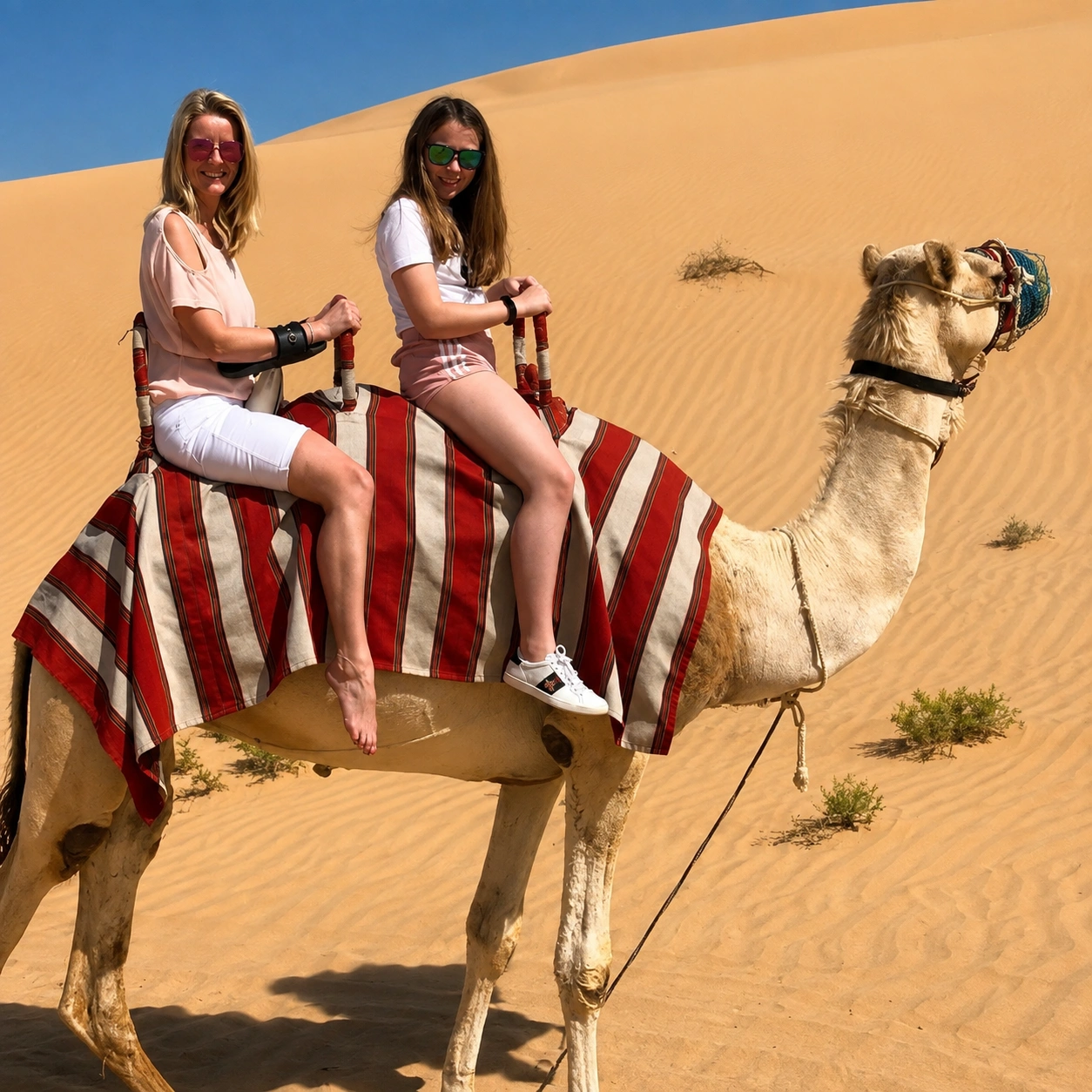 Jaisalmer Cab and Tours team welcoming travellers